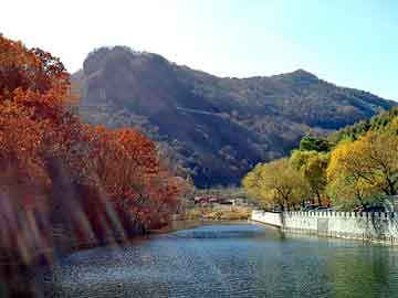 新澳门二四六天天彩，各地鸽舍